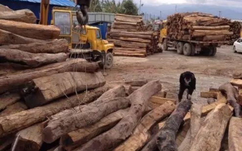 缅甸花梨凭什么，，，价钱一起上涨....